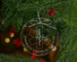 Emergency Medical Services Star of Life Crystal Ornament